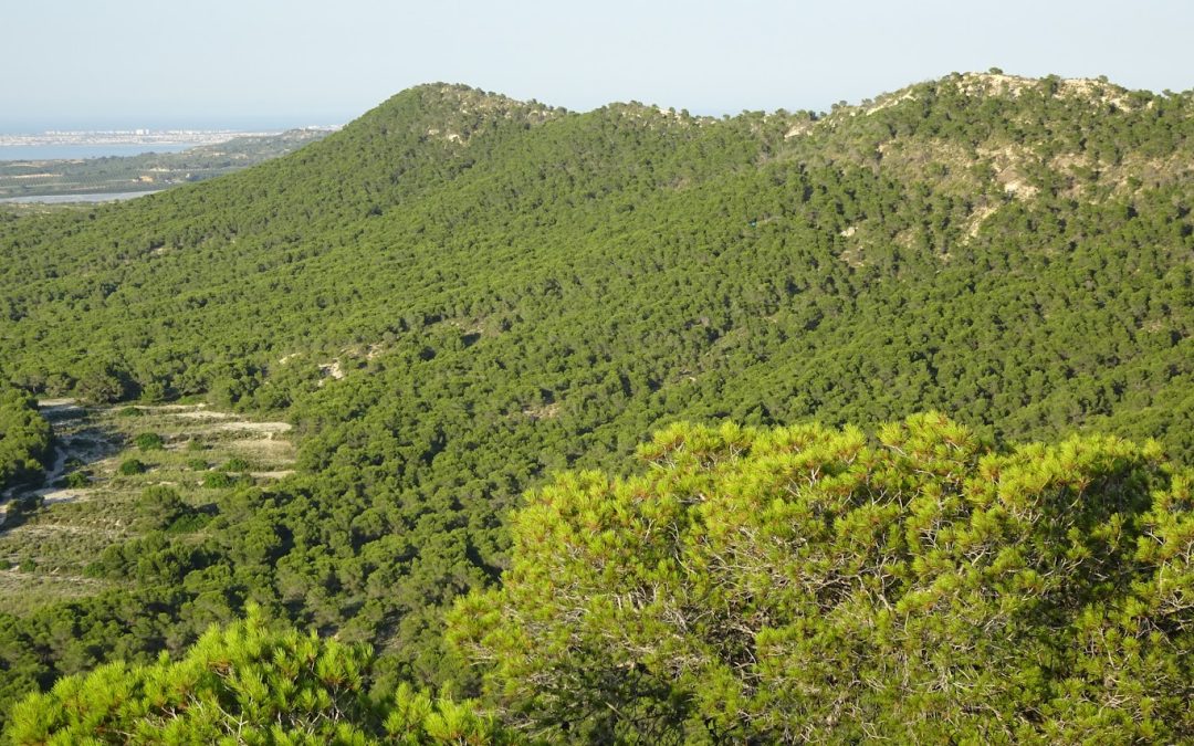 Cambiemos Orihuela presentará una moción para instar a la Consellería de Medio Ambiente, Agua, Infraestructuras y Territorio a declarar Sierra Escalona y Dehesa de Campoamor como Parque Natural de la Comunidad Valenciana