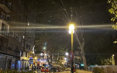 Cambiemos Orihuela denuncia que la Concejalía de Infraestructuras conocía desde hace un año que el árbol caído en la Glorieta se encontraba en una situación de riesgo moderado y que necesitaba una poda urgente